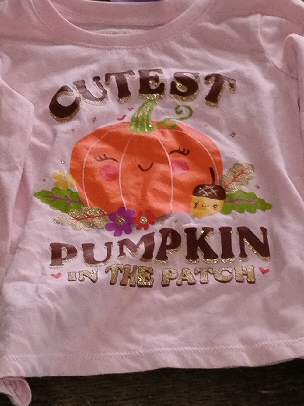 Toddler Girls Pink 'Cutest Pumpkin' Long Sleeve Shirt